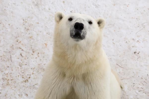 IMG_1836 (1).jpg (59 KB)